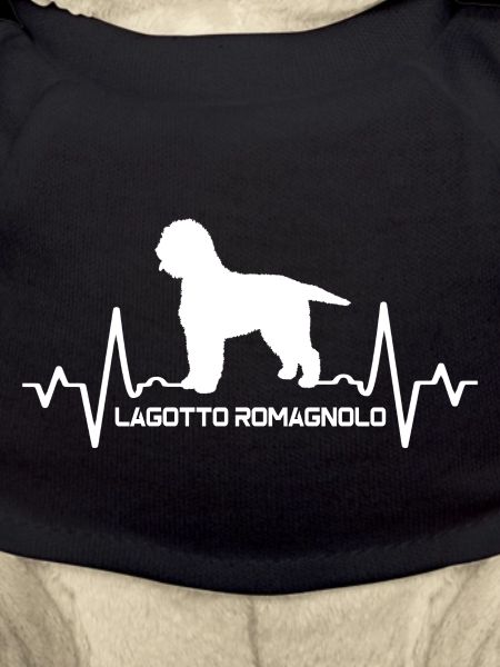 Lagotto romagnolo