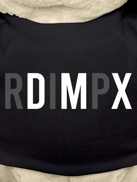 RIP DMX