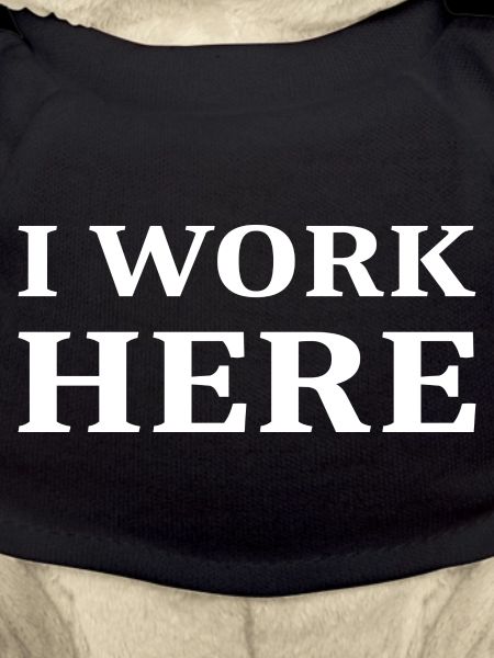 I work here