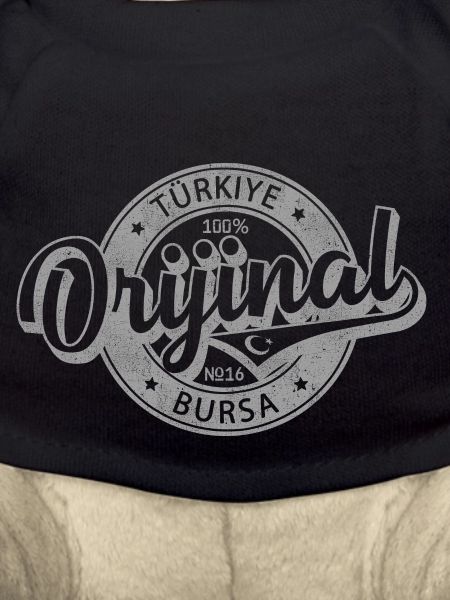Bursa