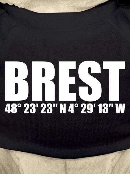 Coordonnées de Brest