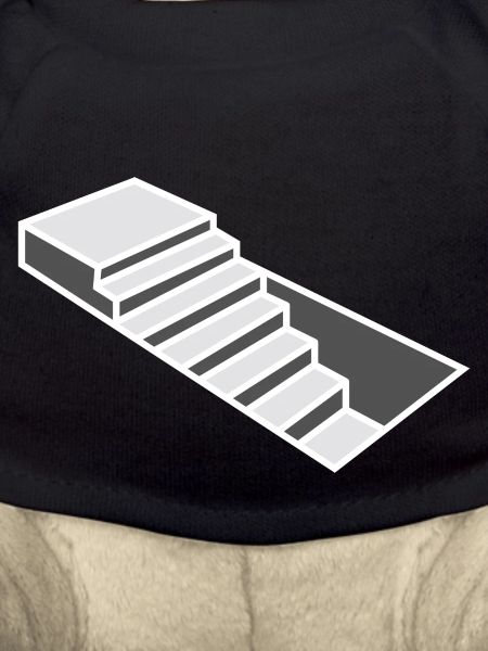 Ladder Illusion