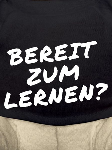 Bereit zum lernen?Schule