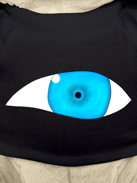 Oeil