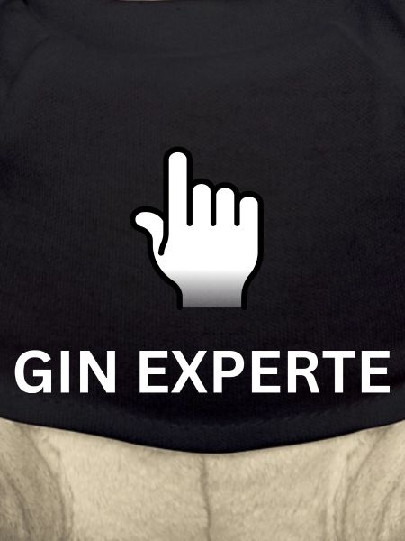 Gin Experte - Gin
