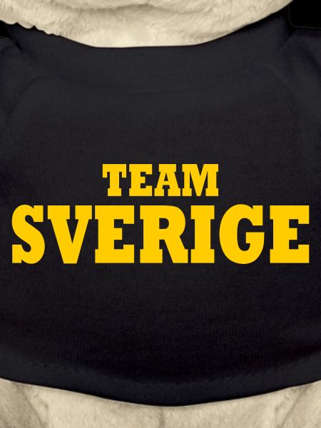 Team sverige
