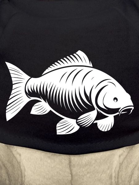 Carp transparent white