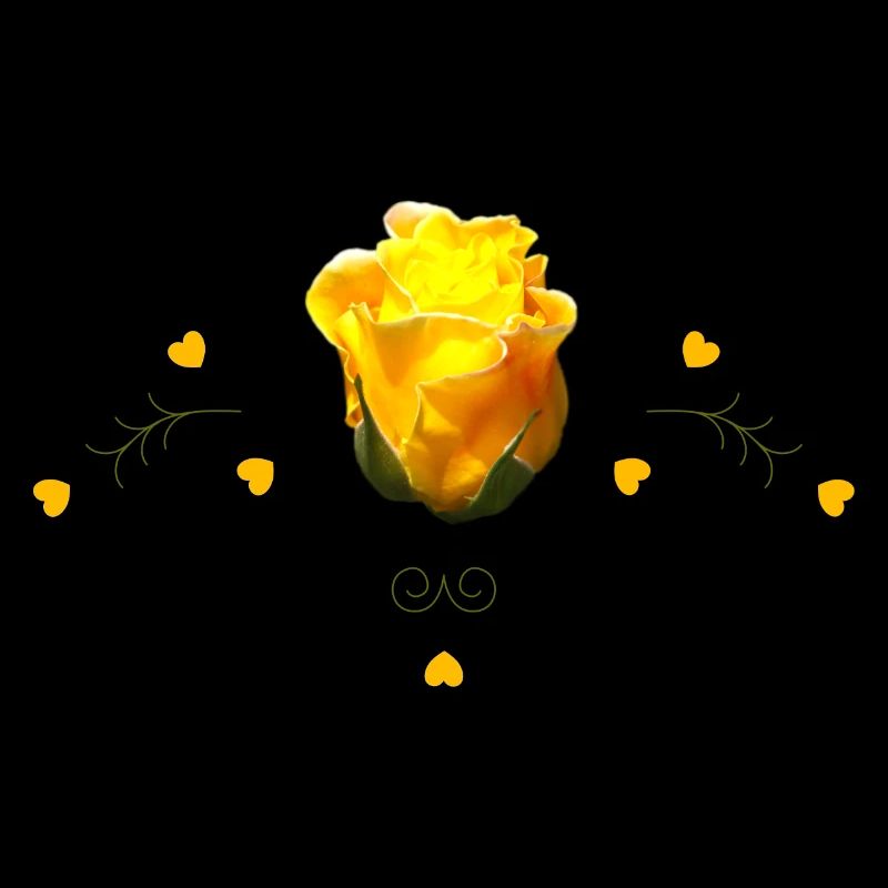 Roses Rose jaune