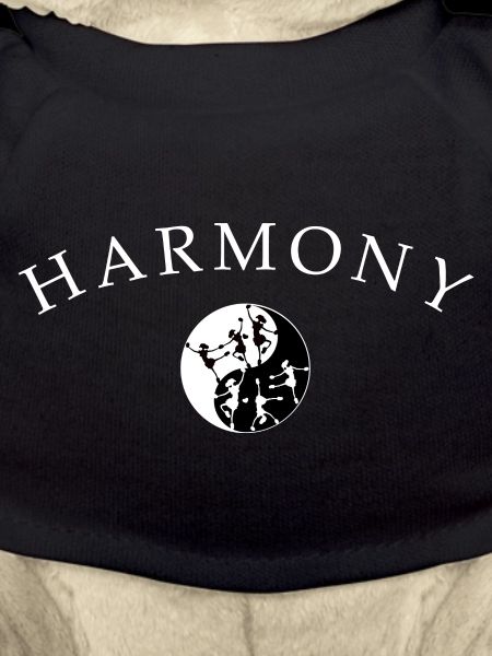 Dancing Ballet Harmony
