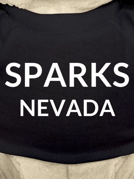 Sparks Nevada USA