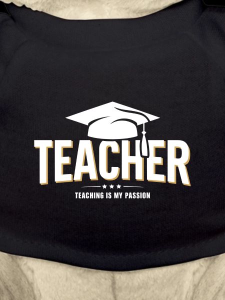 Profession d’enseignant d’école d’enseignement