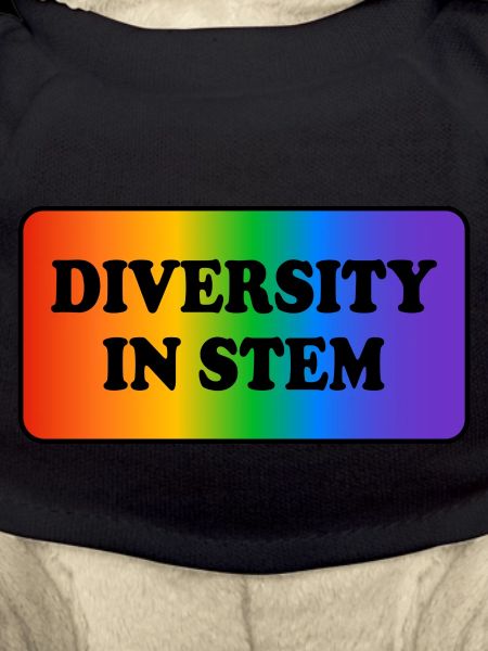 Diversité dans les STIM