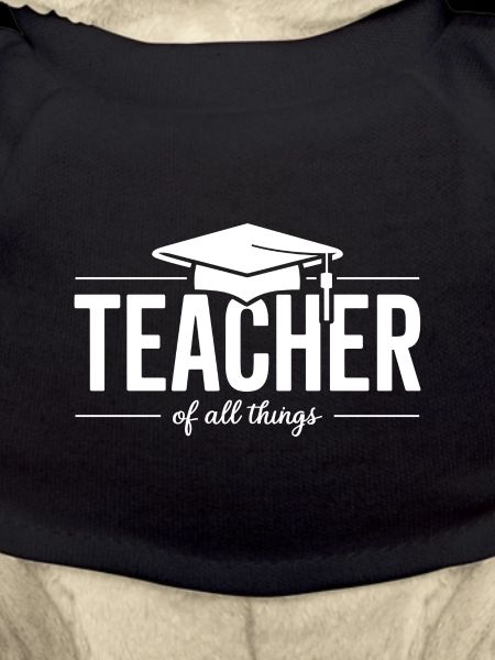 Teacher Teacher School Profession