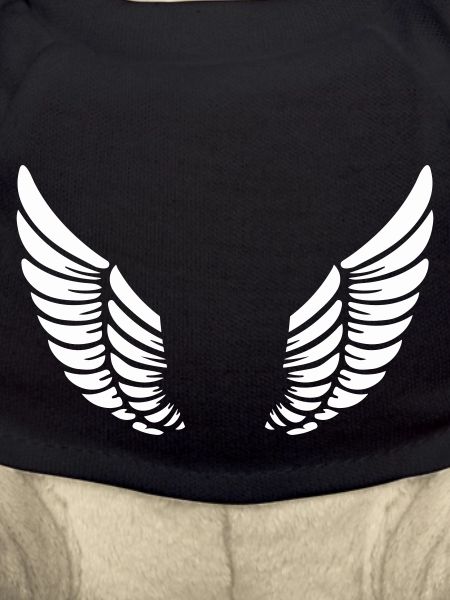wing