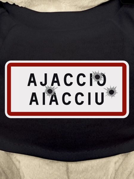 Panneau Ajaccio