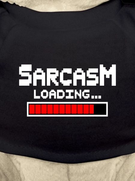 Sarcasm Loading Humor