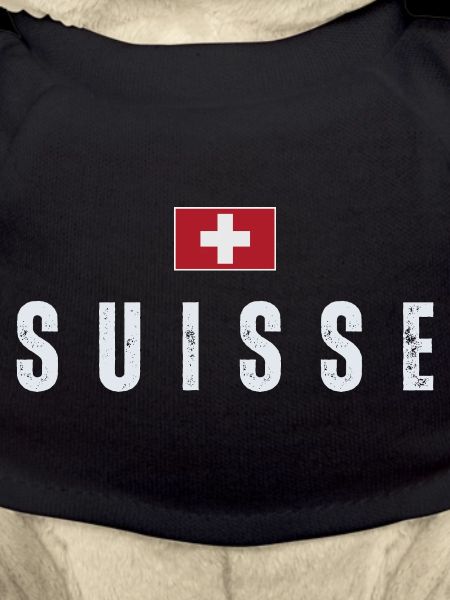 Flagge der Schweiz, Schweizer Stolz