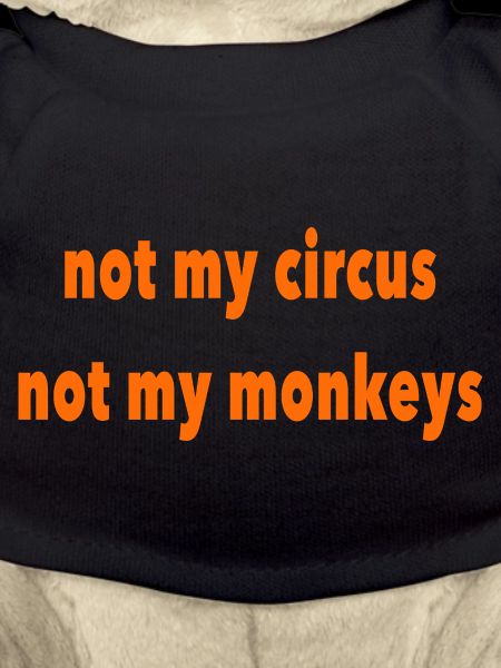 not my circus