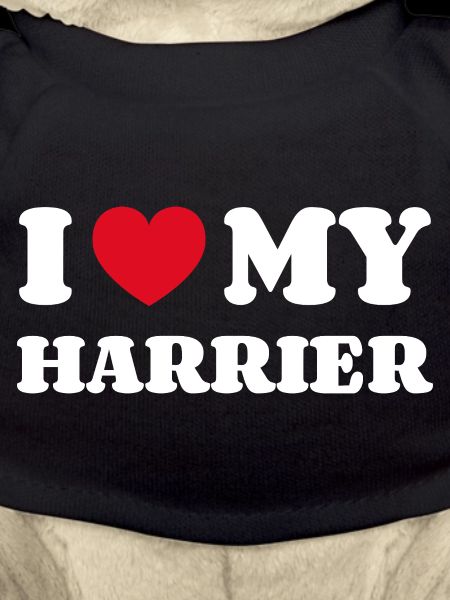 J'aime mon Harrier
