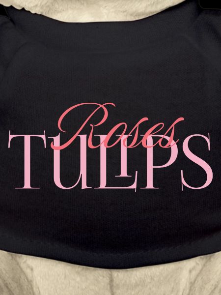 Roses & Tulips – Blooming Elegance