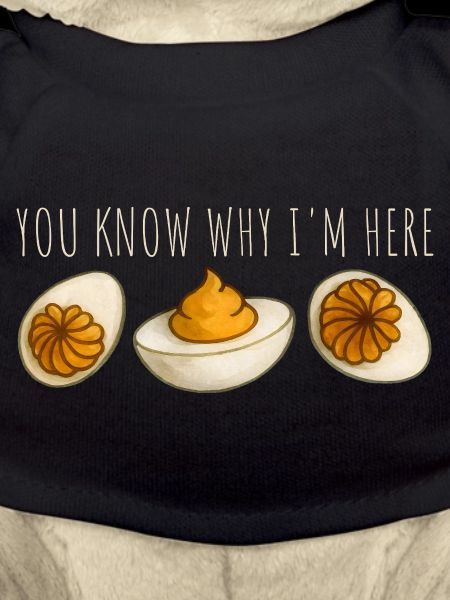 You Know Why I'm Here Eier