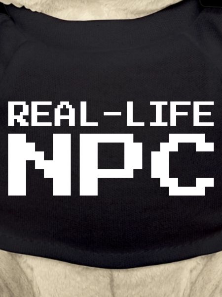 Real Life NPC Gaming