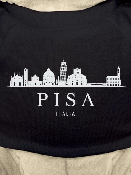 Pisa Skyline, Pisa Italy