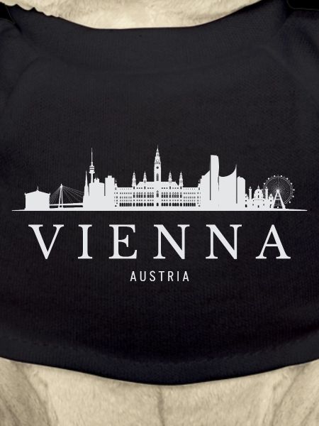 Vienna Skyline, Vienna Austria