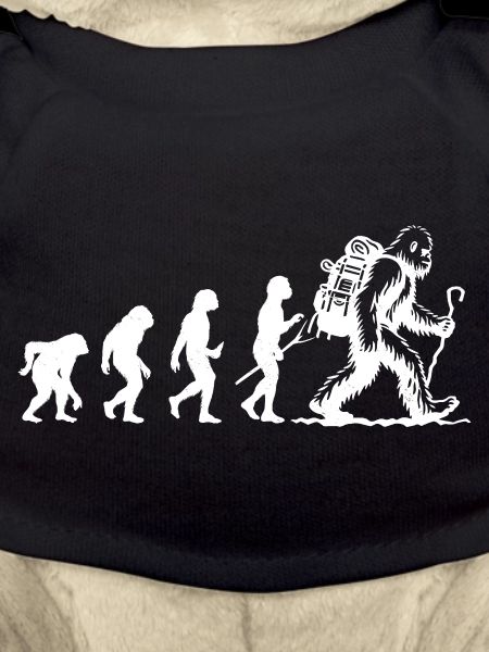 Bigfoot Sasquatch Cache-cache Dictons
