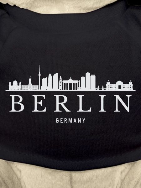 Berlin Skyline, Berlin Germany