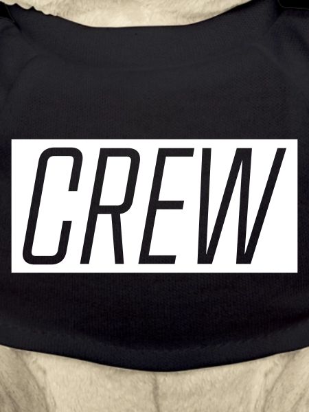 Crew Typografie Bold