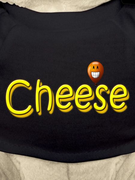 CHEESE