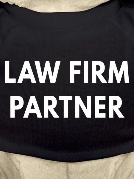 Anwaltskazleipartner Executive Career Geschenk-T-Shirt
