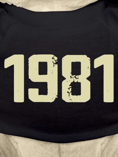 Jubilé 1981