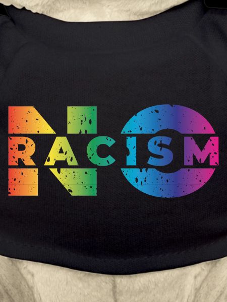 no racism