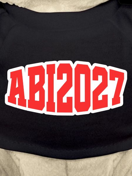 Abi 2027