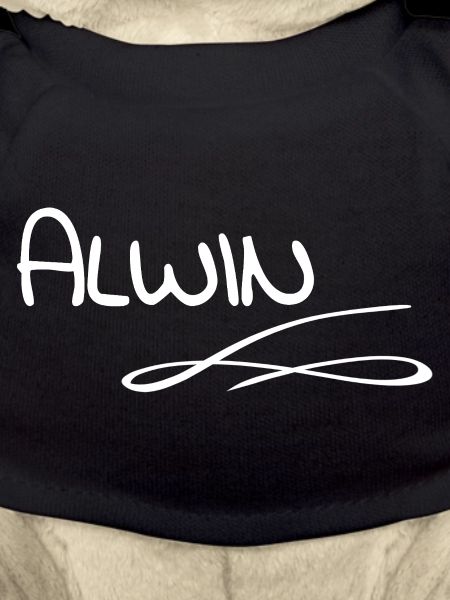 Cadeau pour Alwin