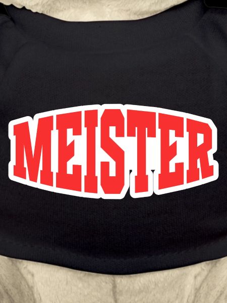 Meister
