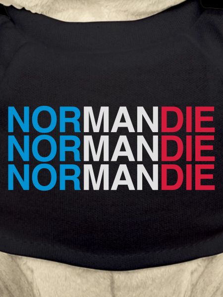 NORMANDIE France France Drapeau