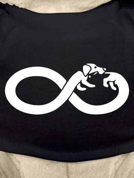 Teckel Infinity