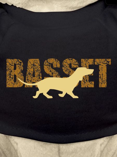 basset hound