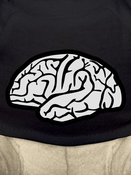 Brain, Brains