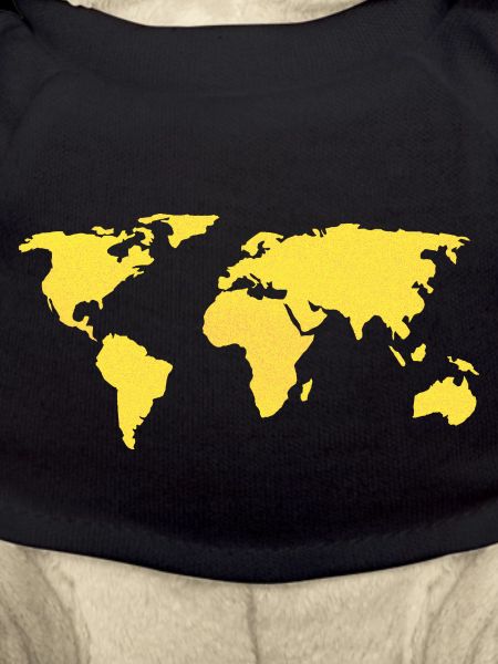 World map