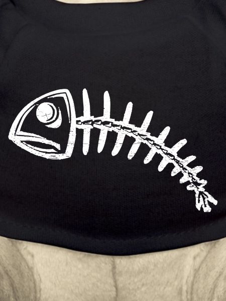 Fisch Skelett als Geschenkidee