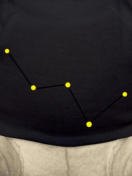Star constellation Cassiopeia