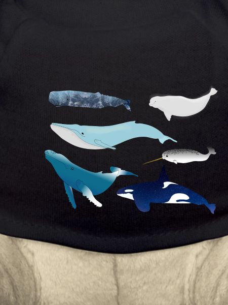 whales