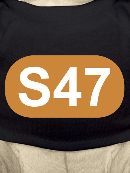 S-Bahn Berlin S47