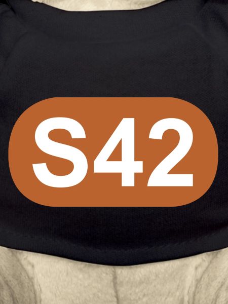 S-Bahn Berlin S42