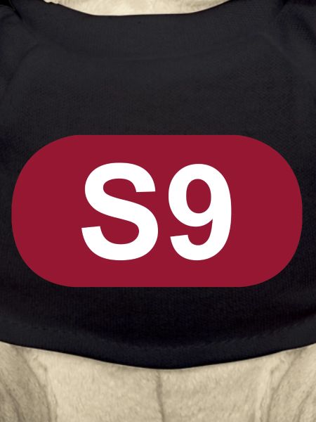 S-Bahn Berlin S9