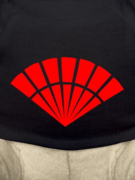 Japanese symbol, fan